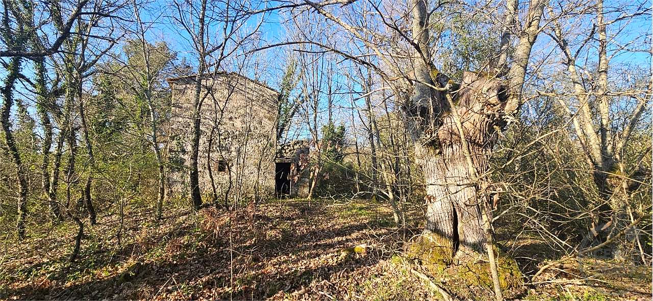 ROCCASTRADA - TORNIELLA: RUDERI CON TERRENO