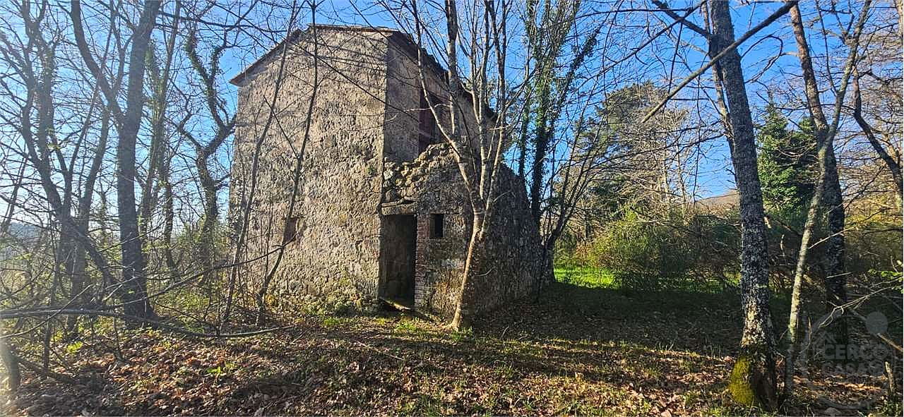 ROCCASTRADA - TORNIELLA: RUDERI CON TERRENO
