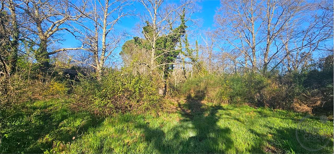 ROCCASTRADA - TORNIELLA: RUDERI CON TERRENO