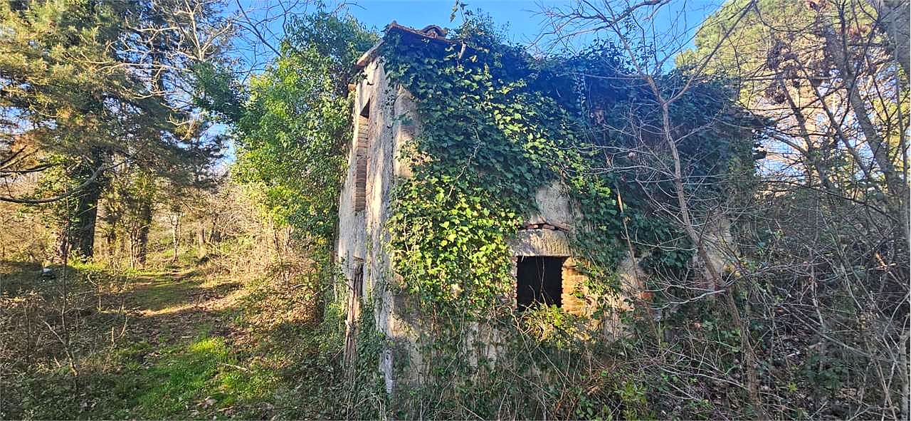 ROCCASTRADA - TORNIELLA: RUDERI CON TERRENO
