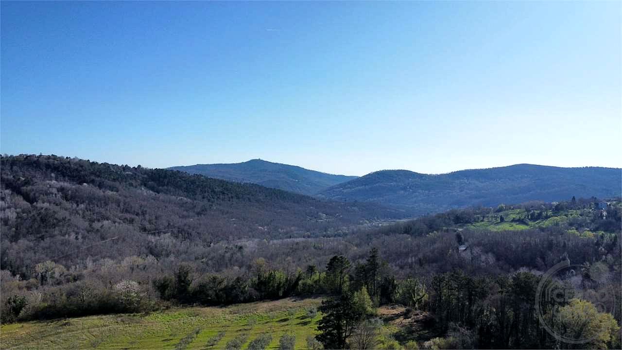 ROCCASTRADA - TORNIELLA: RUDERI CON TERRENO