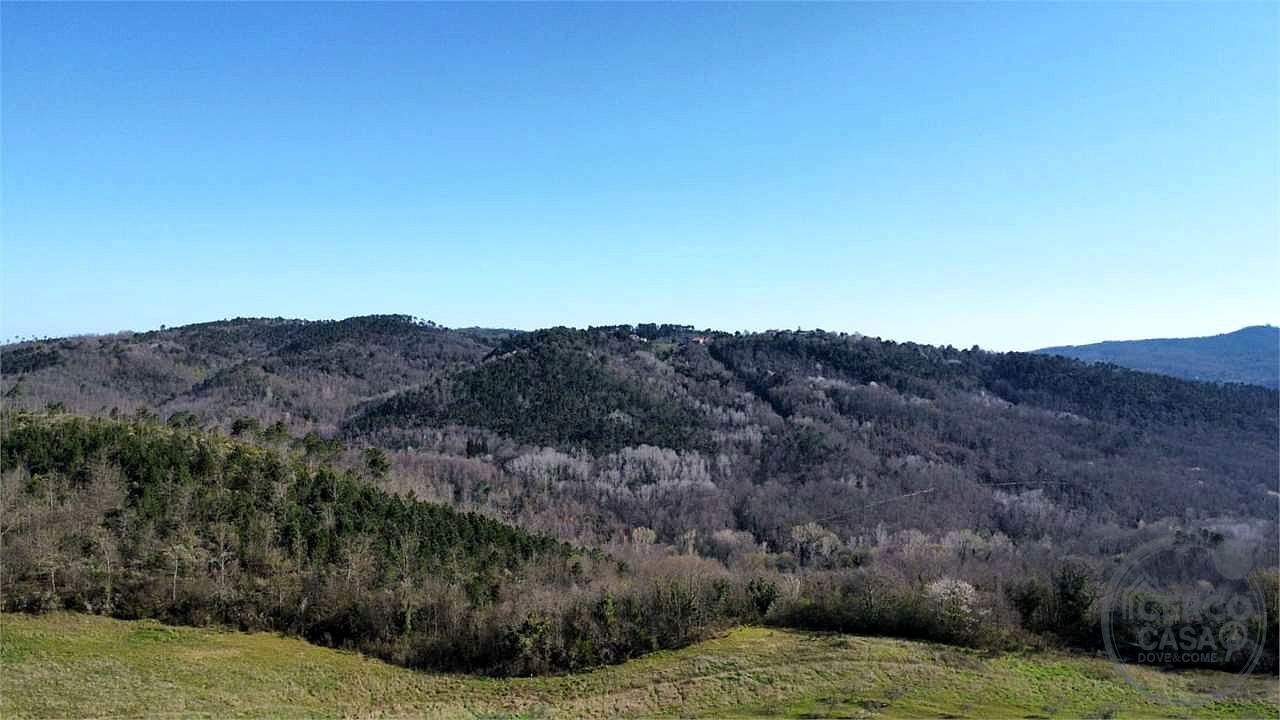 ROCCASTRADA - TORNIELLA: RUDERI CON TERRENO