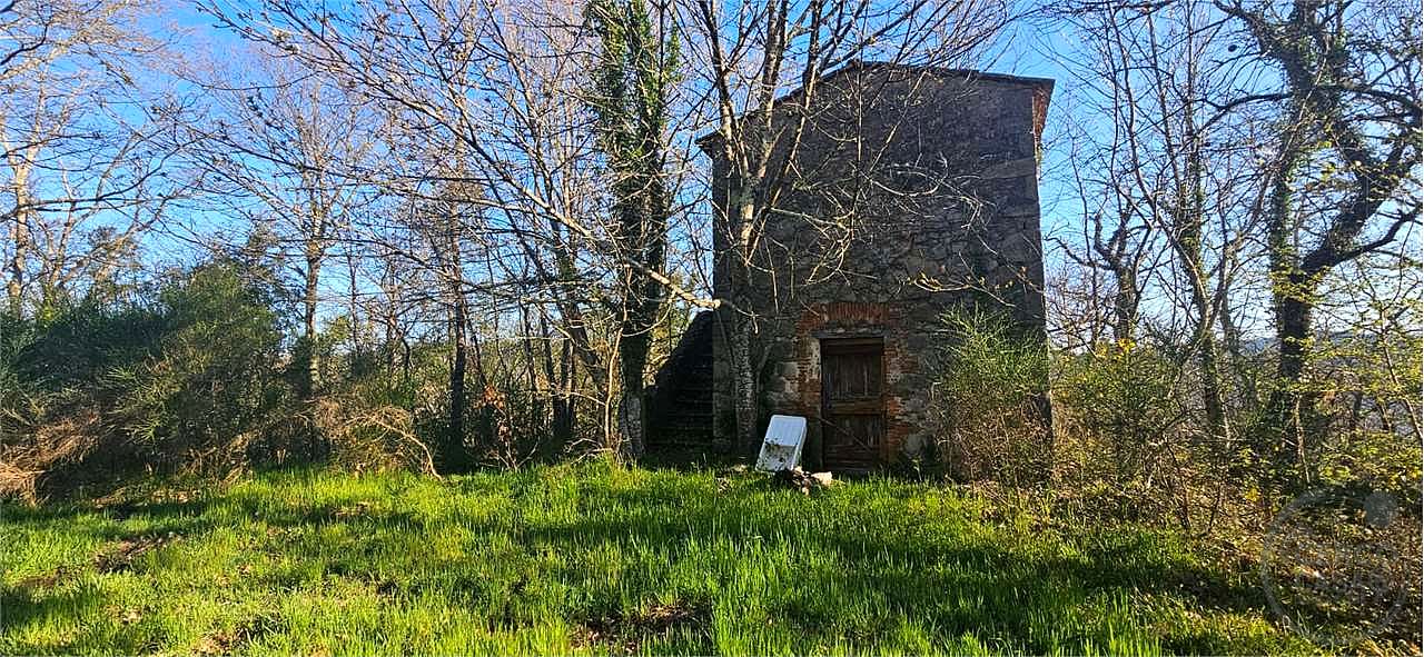 ROCCASTRADA - TORNIELLA: RUDERI CON TERRENO