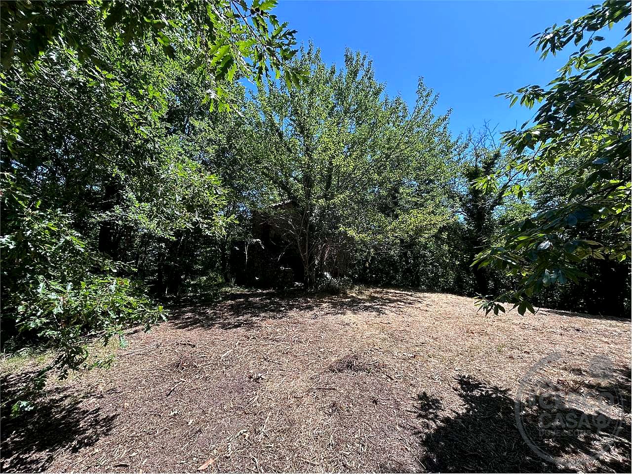 ROCCASTRADA - TORNIELLA: RUDERI CON TERRENO
