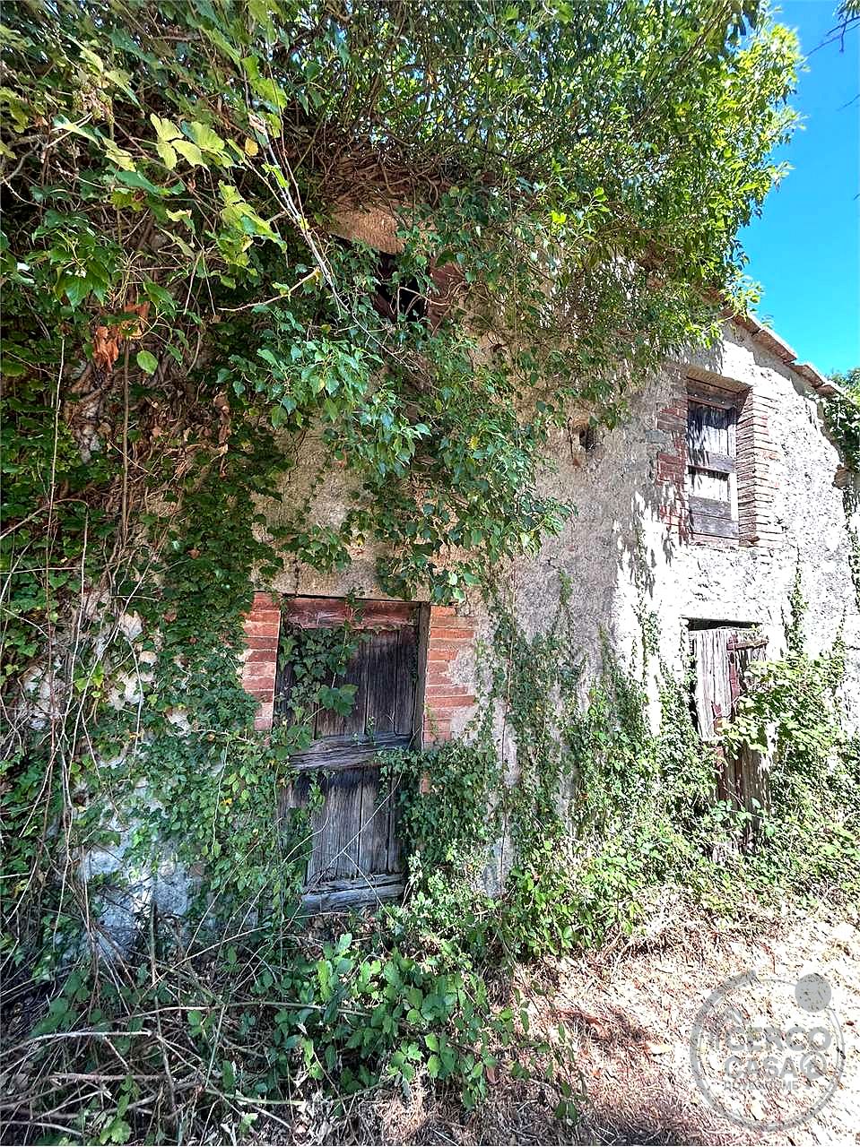 ROCCASTRADA - TORNIELLA: RUDERI CON TERRENO