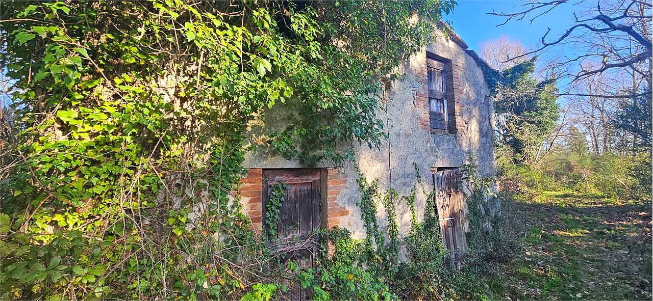 ROCCASTRADA - TORNIELLA: RUDERI CON TERRENO