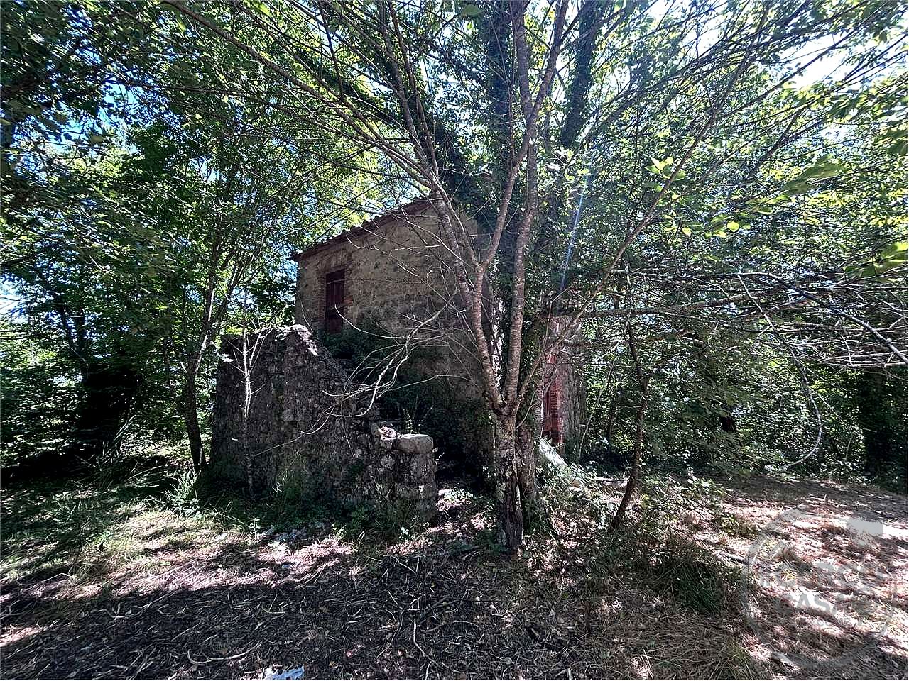 ROCCASTRADA - TORNIELLA: RUDERI CON TERRENO