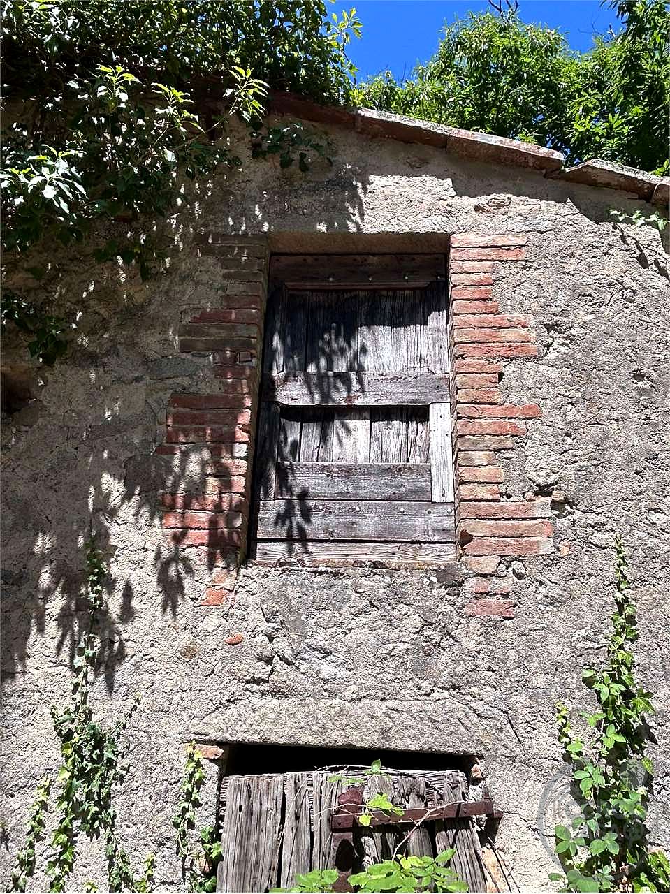 ROCCASTRADA - TORNIELLA: RUDERI CON TERRENO