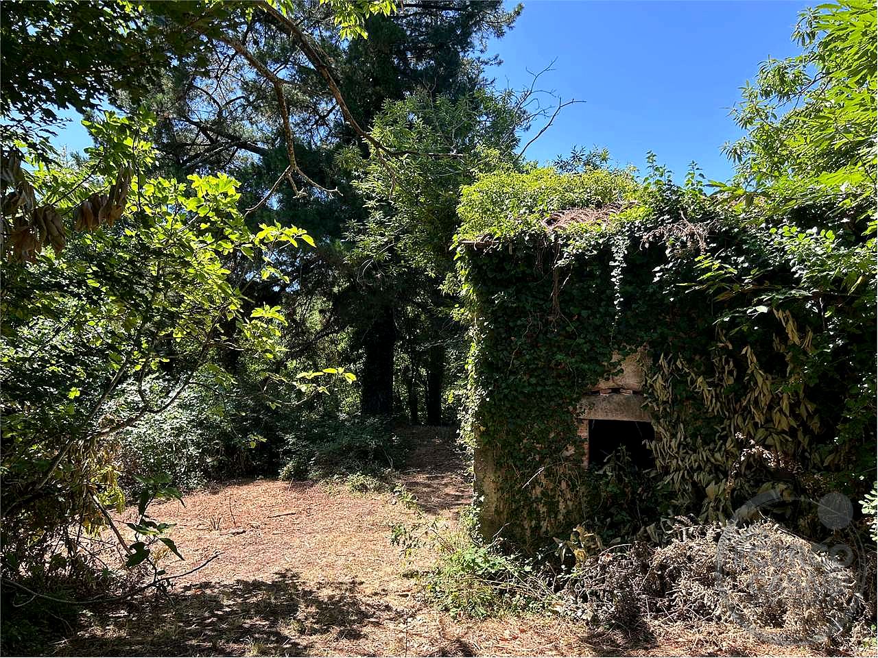 ROCCASTRADA - TORNIELLA: RUDERI CON TERRENO