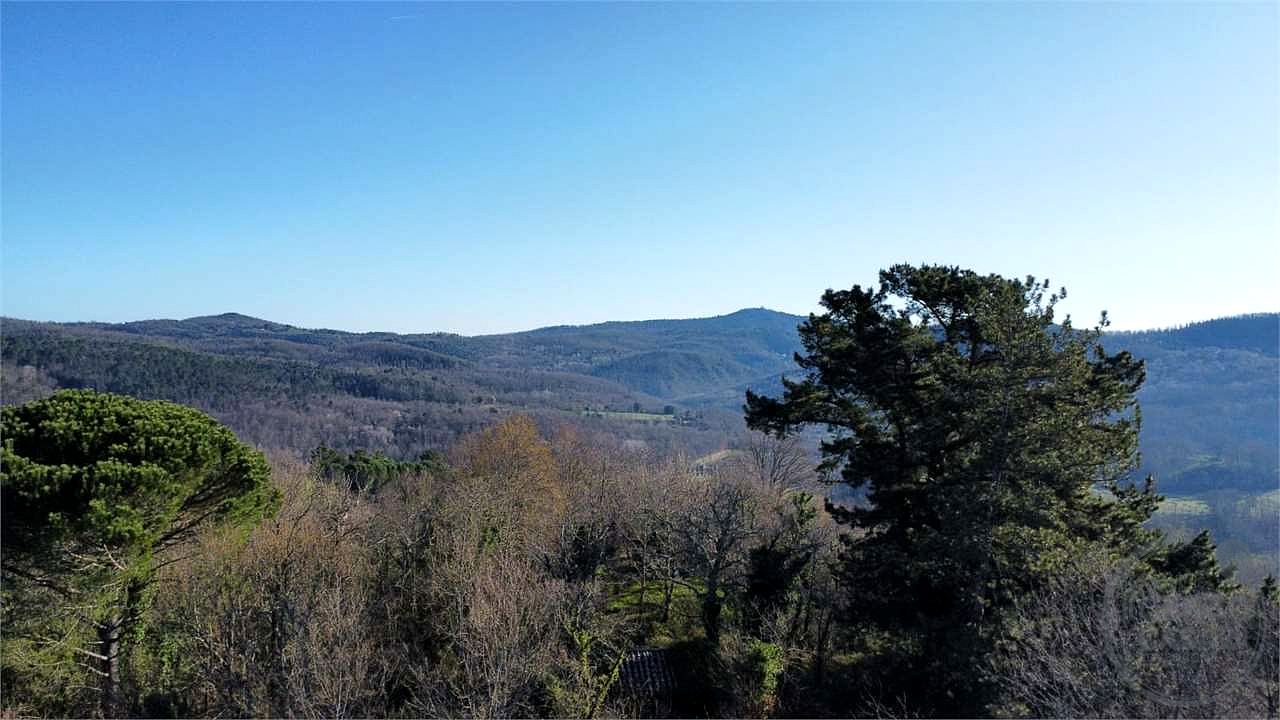 ROCCASTRADA - TORNIELLA: RUDERI CON TERRENO