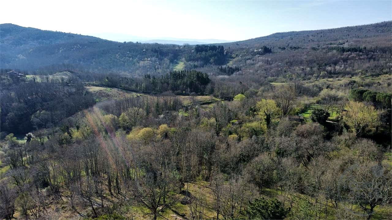 ROCCASTRADA - TORNIELLA: RUDERI CON TERRENO