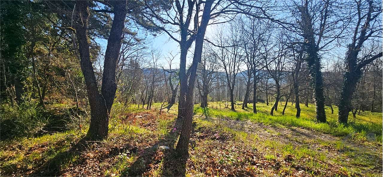 ROCCASTRADA - TORNIELLA: RUDERI CON TERRENO