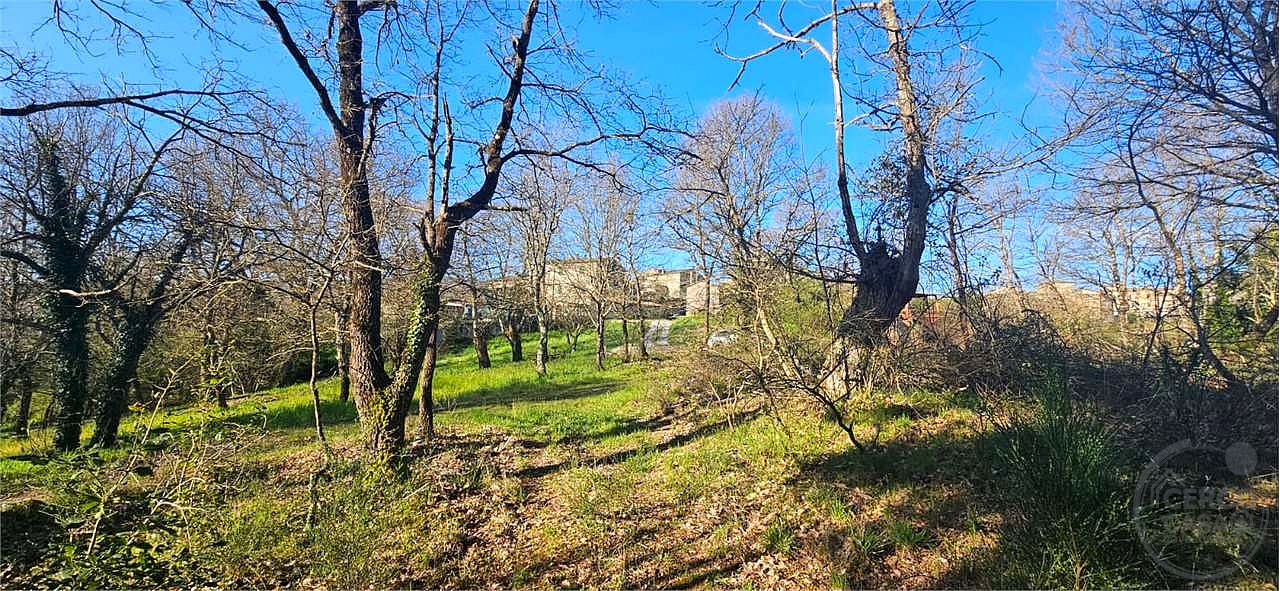 ROCCASTRADA - TORNIELLA: RUDERI CON TERRENO