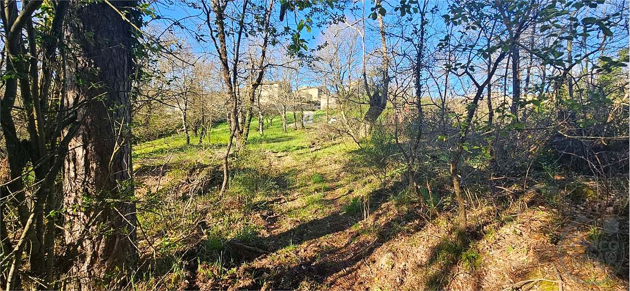 ROCCASTRADA - TORNIELLA: RUDERI CON TERRENO