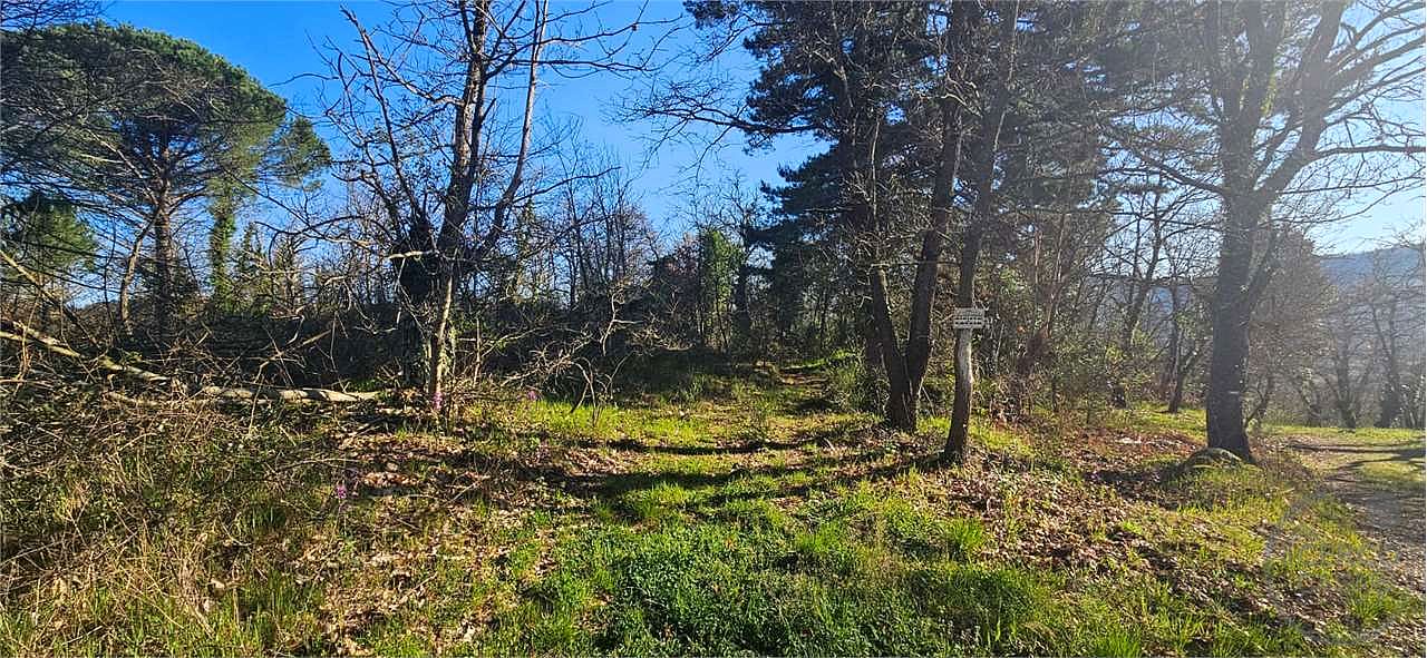 ROCCASTRADA - TORNIELLA: RUDERI CON TERRENO