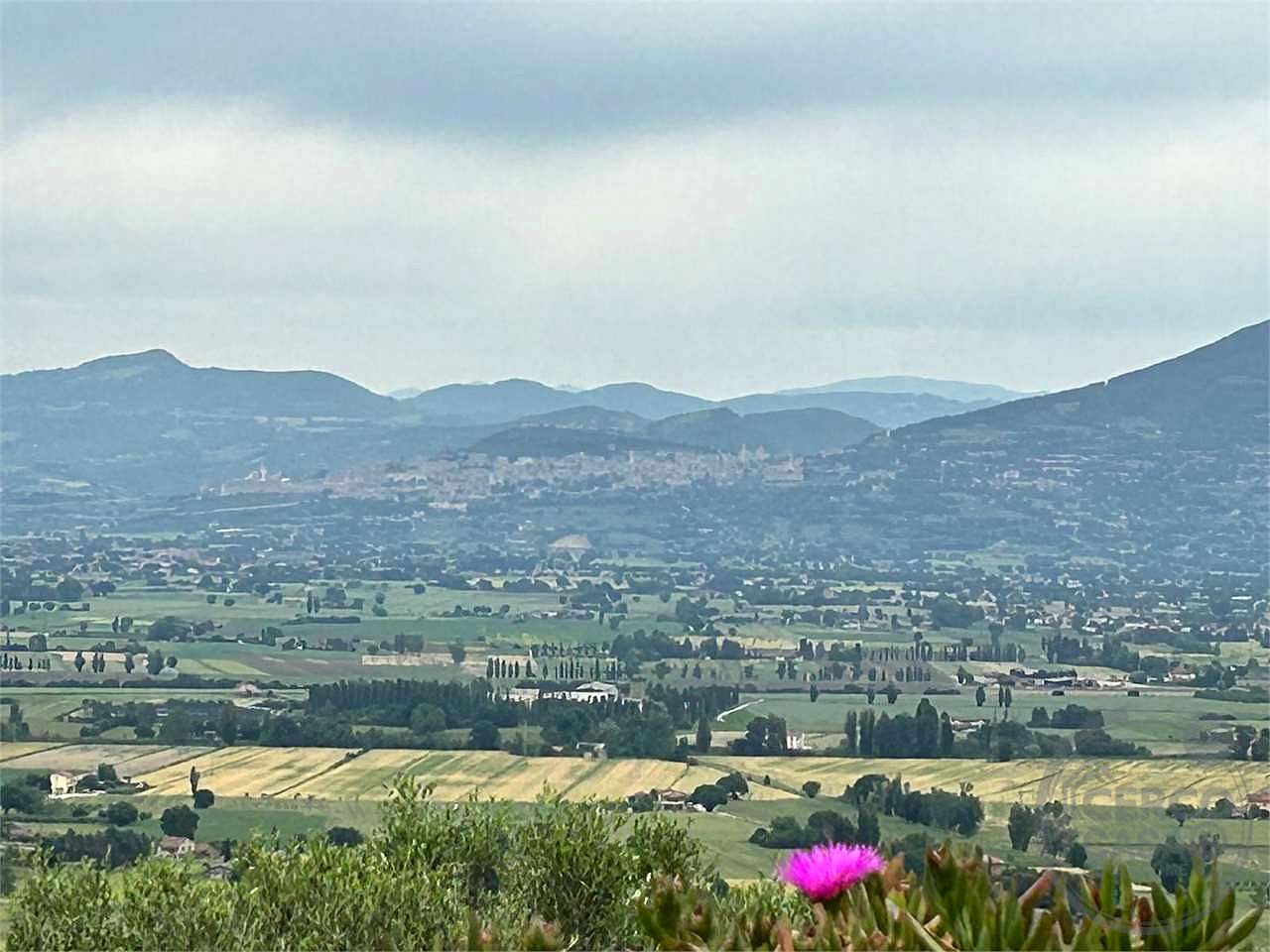 CANNARA (COLLEMANCIO): APPARTAMENTO IN CASALE