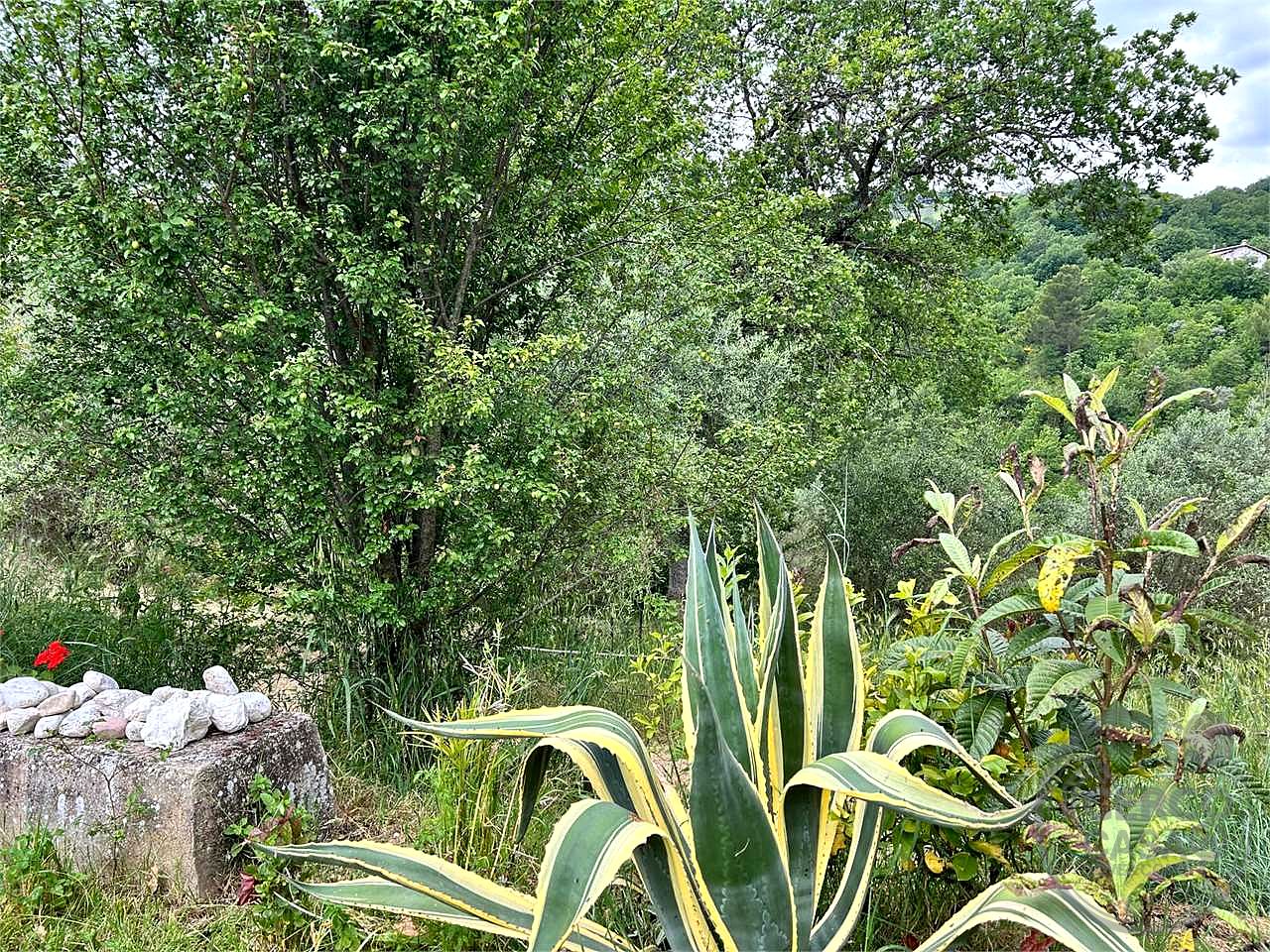 CANNARA (COLLEMANCIO): APPARTAMENTO IN CASALE