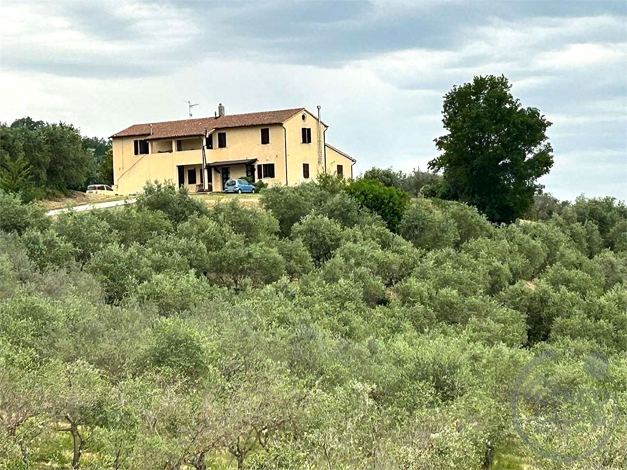 CANNARA (COLLEMANCIO): APPARTAMENTO IN CASALE