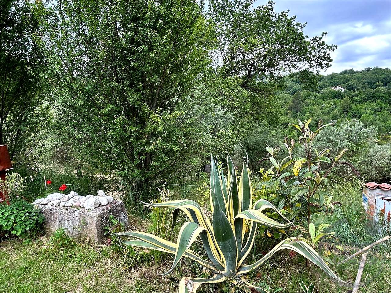 CANNARA (COLLEMANCIO): APPARTAMENTO IN CASALE