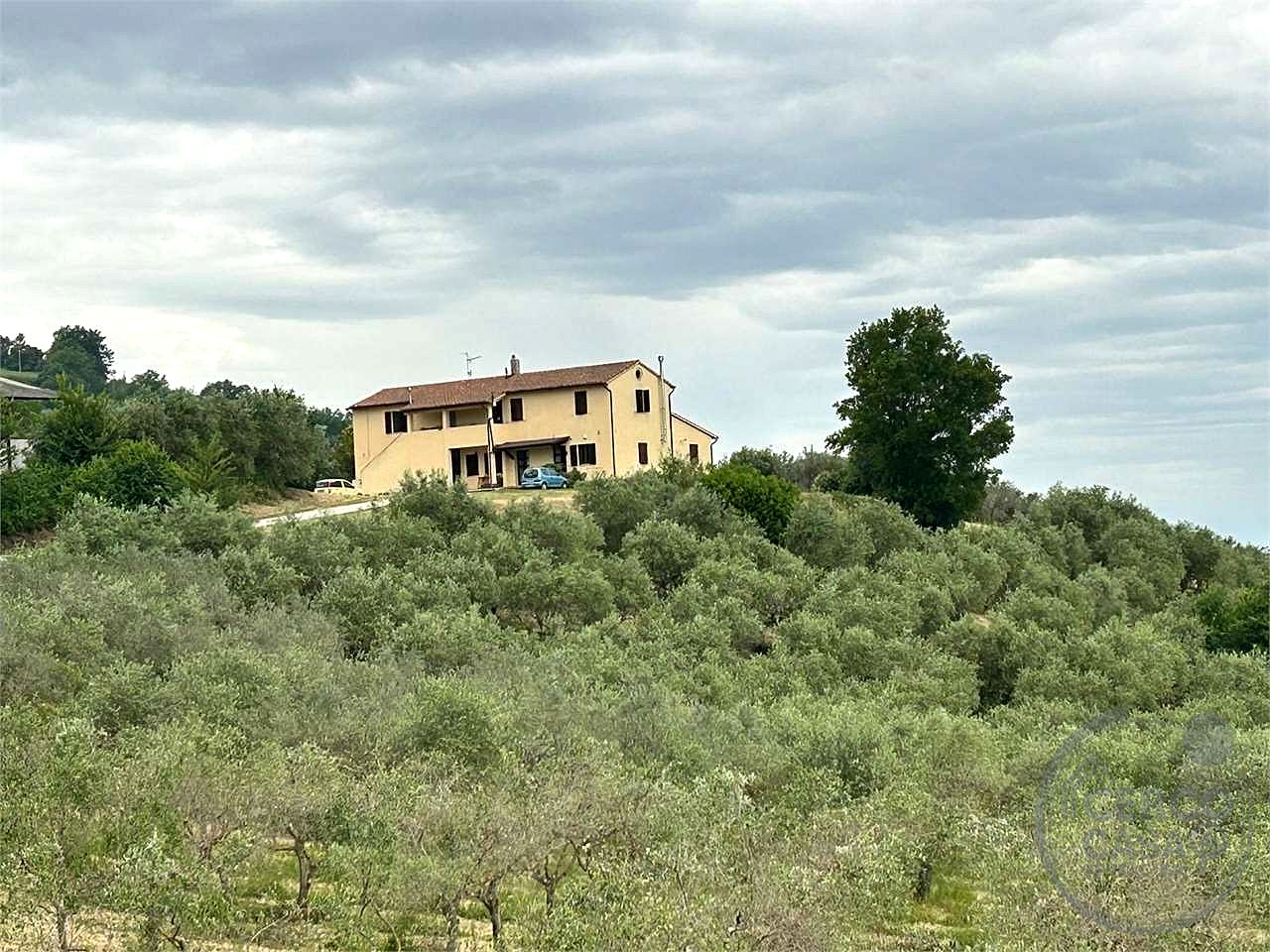 CANNARA (COLLEMANCIO): APPARTAMENTO IN CASALE