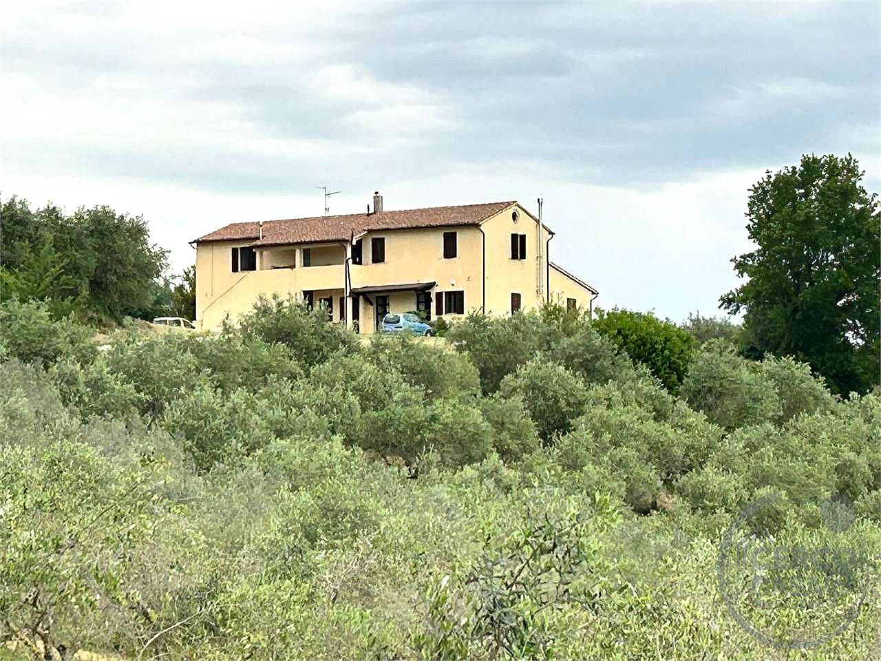 CANNARA (COLLEMANCIO): APPARTAMENTO IN CASALE