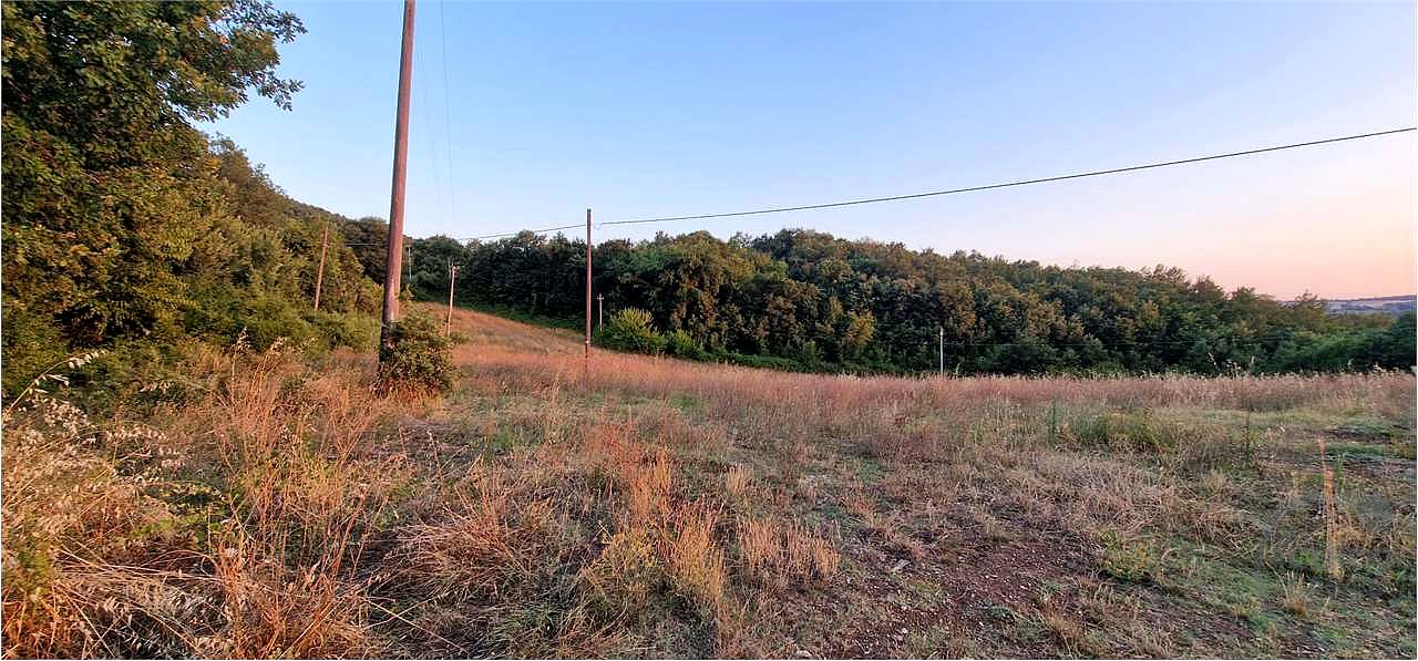MASSA MARTANA: TERRENO AGRICOLO