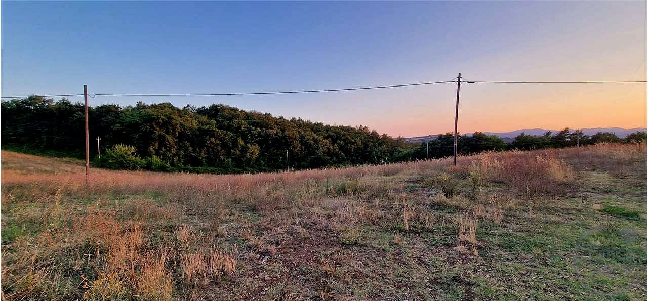 MASSA MARTANA: TERRENO AGRICOLO