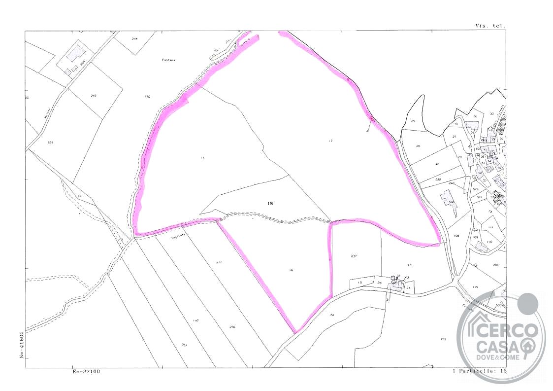 MASSA MARTANA: TERRENO AGRICOLO