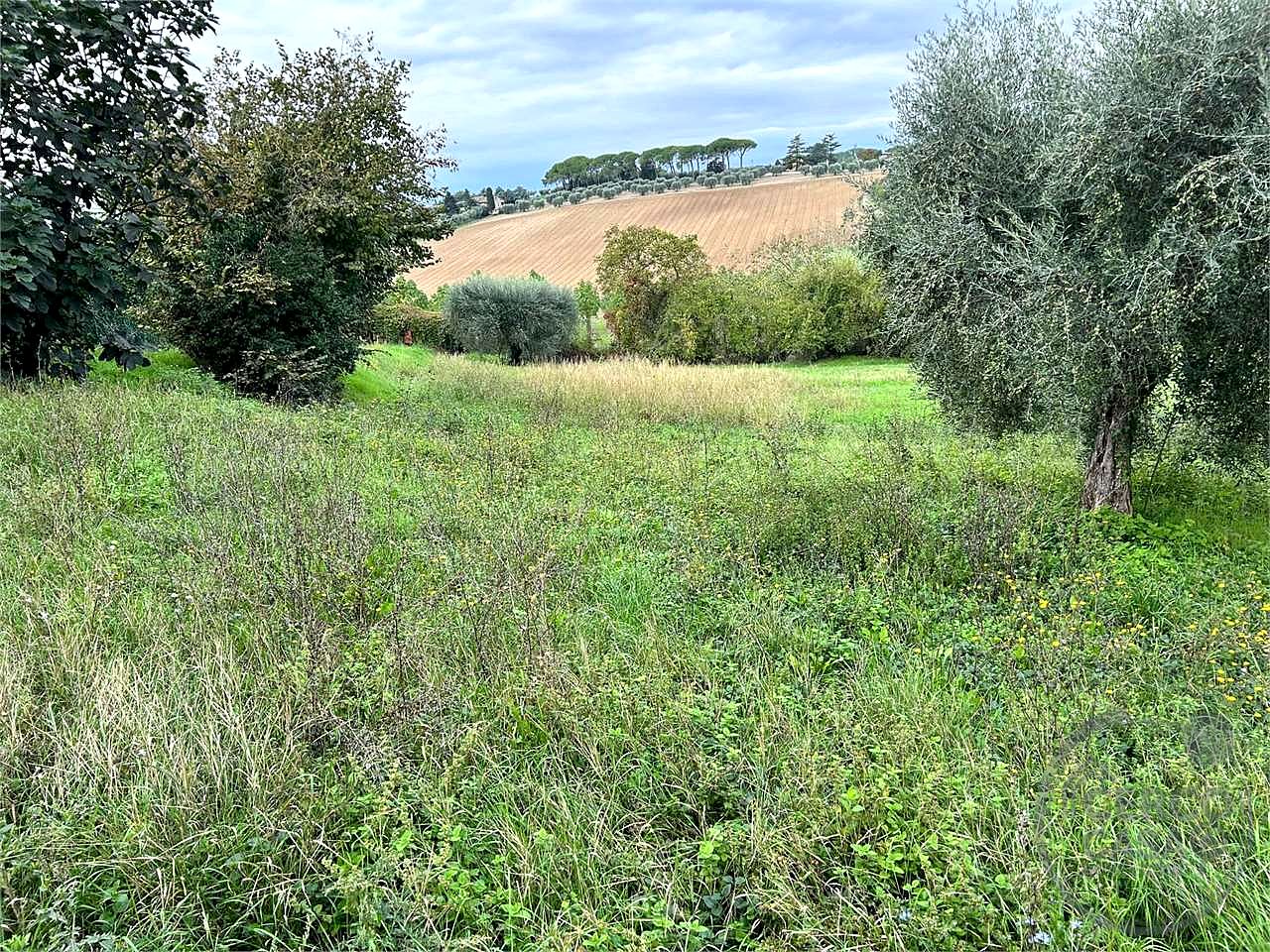 PERUGIA - TERRENO EDIFICABILE