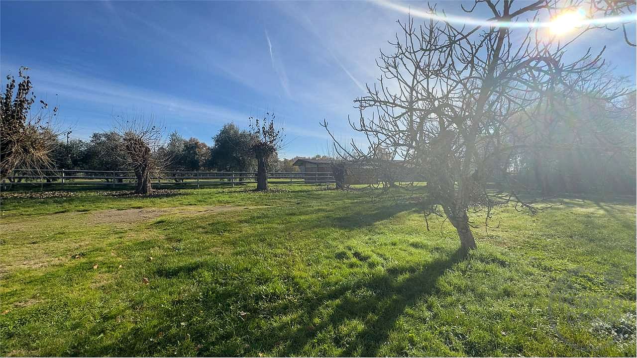 SPLENDIDA TENUTA NEL CUORE DEL VALDARNO (FIRENZE)