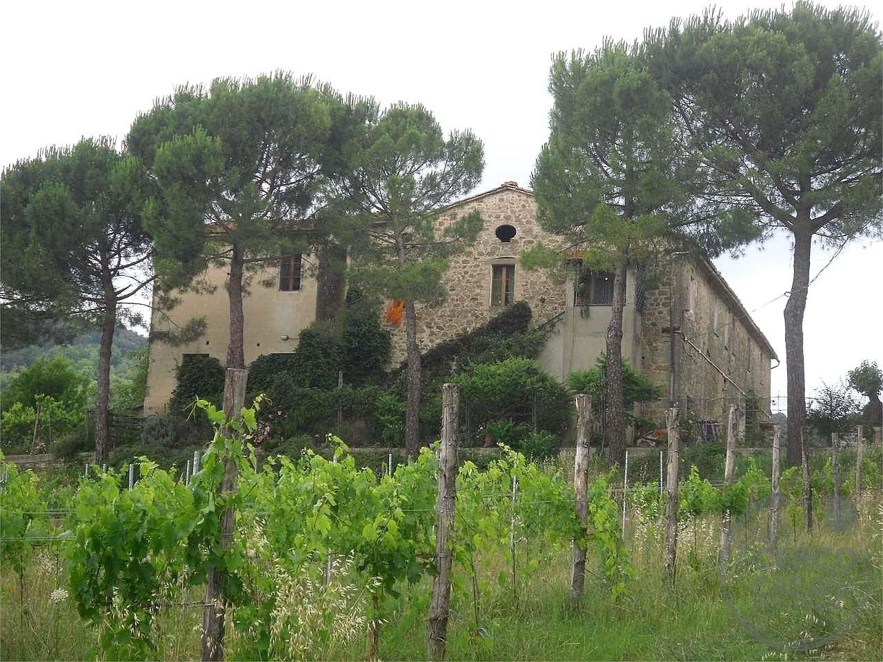 PERUGIA - PONTE FELCINO: CASALE CON ANNESSI E TERRENI AGRICOLI