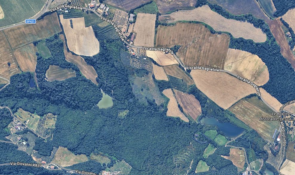 COLLAZZONE - GAGLIETOLE: TERRENO AGRICOLO IN VENDITA