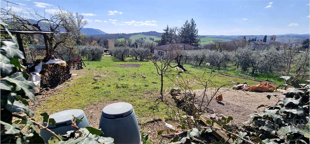 MASSA MARTANA - VILLA SAN FAUSTINO: TERRENO EDIFICABILE