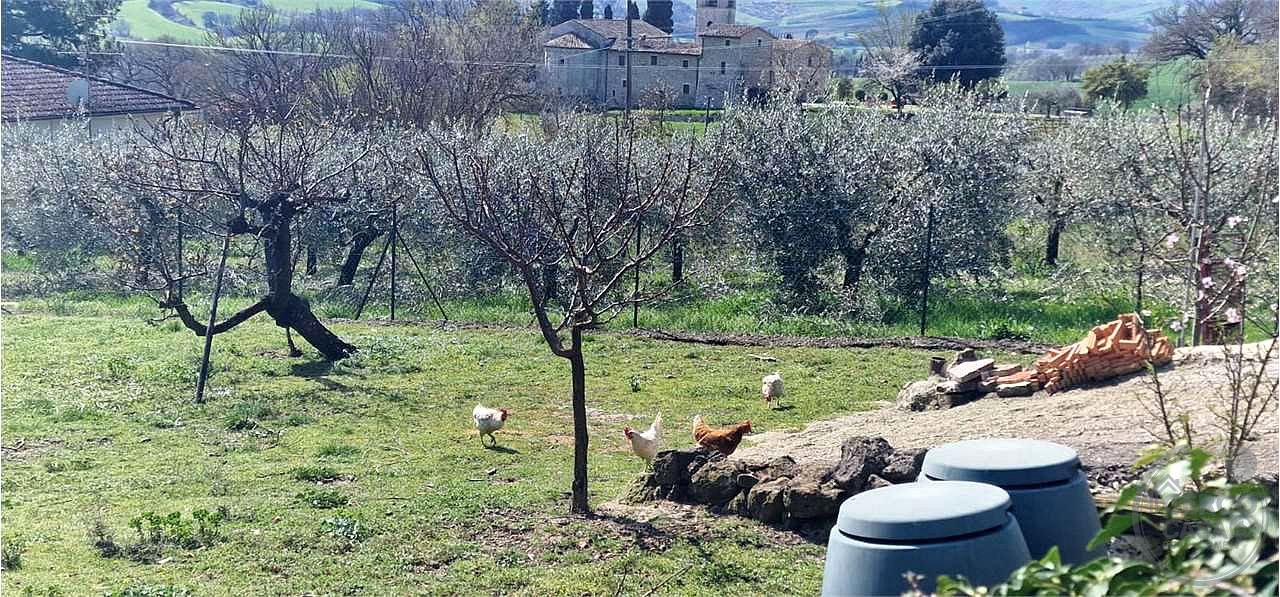 MASSA MARTANA - VILLA SAN FAUSTINO: TERRENO EDIFICABILE