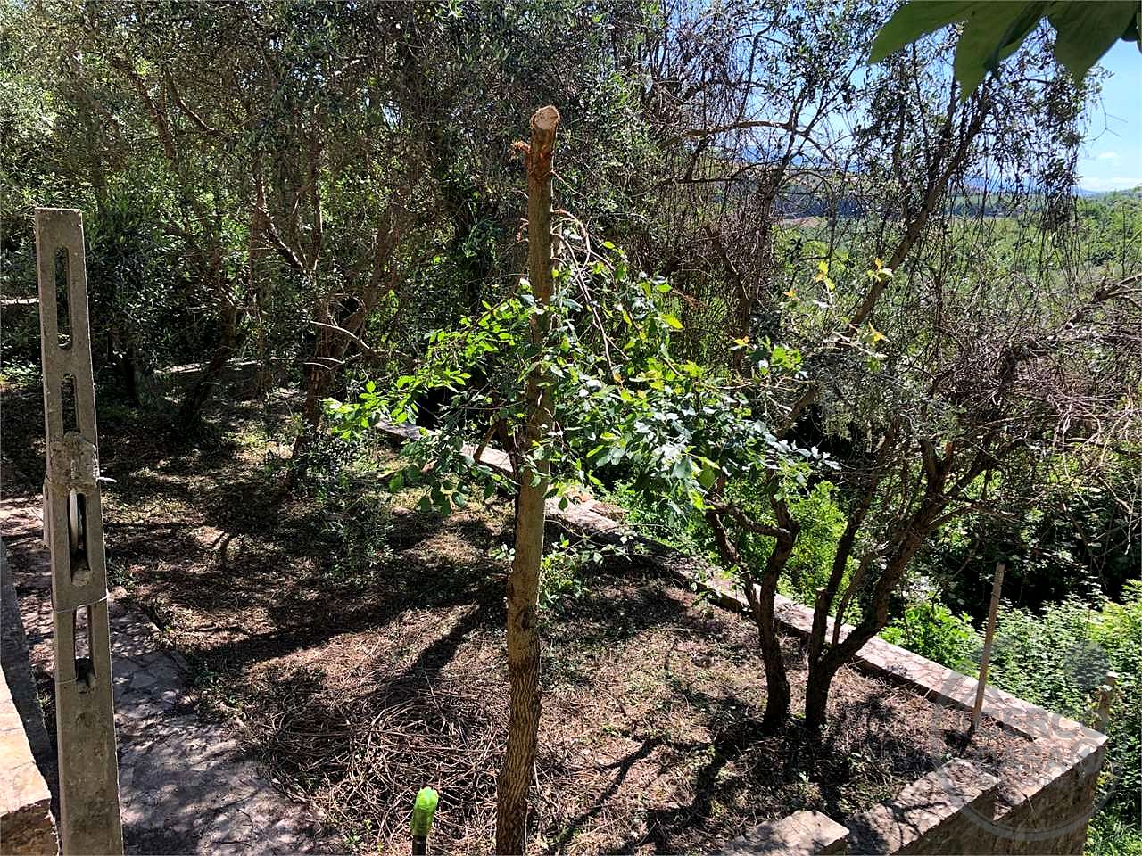 MONTE CASTELLO DI VIBIO - DOGLIO: DUE UNITA' ABITATIVE CON GIARDINO E TERRENO