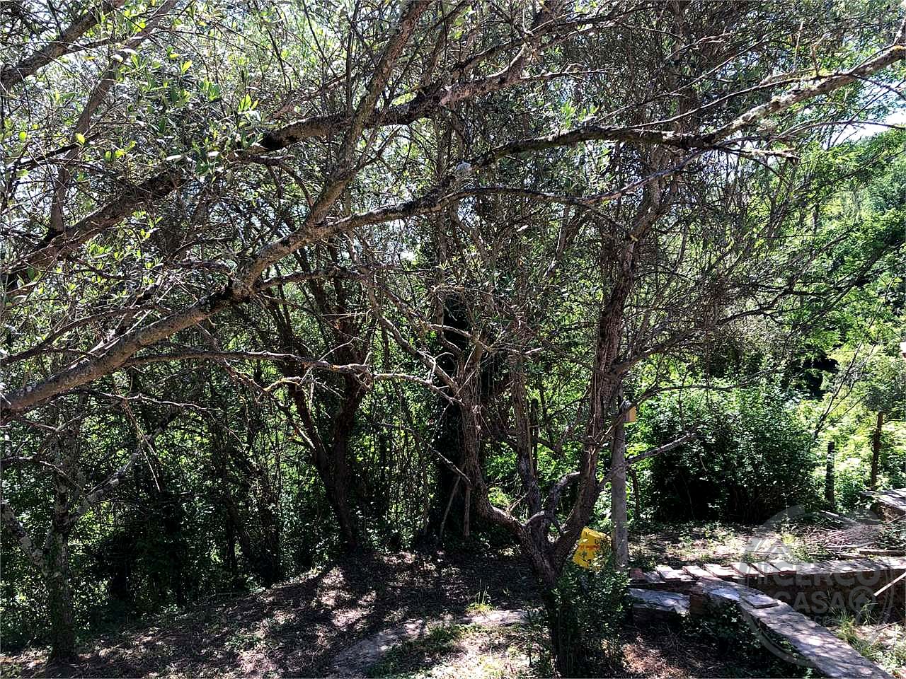 MONTE CASTELLO DI VIBIO - DOGLIO: DUE UNITA' ABITATIVE CON GIARDINO E TERRENO