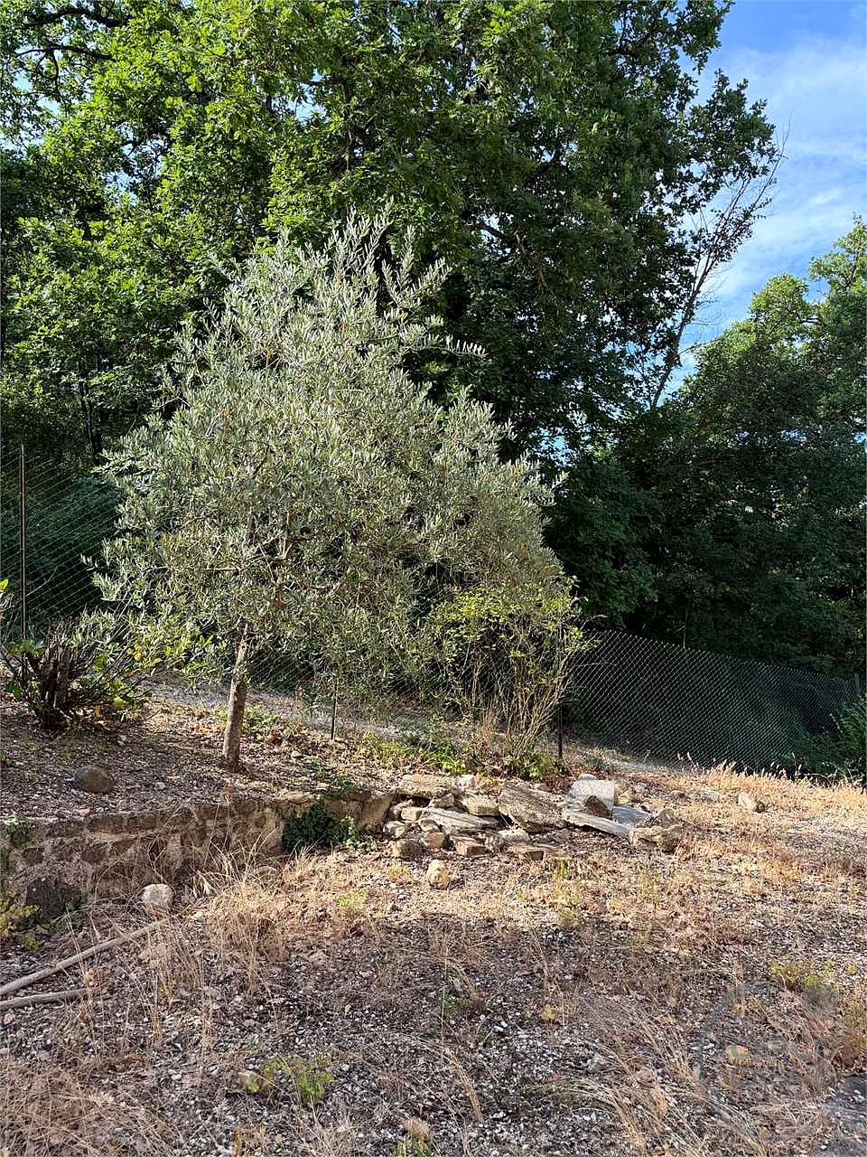 TODI: CASALE CON TERRENO IN POSIZIONE COLLINARE