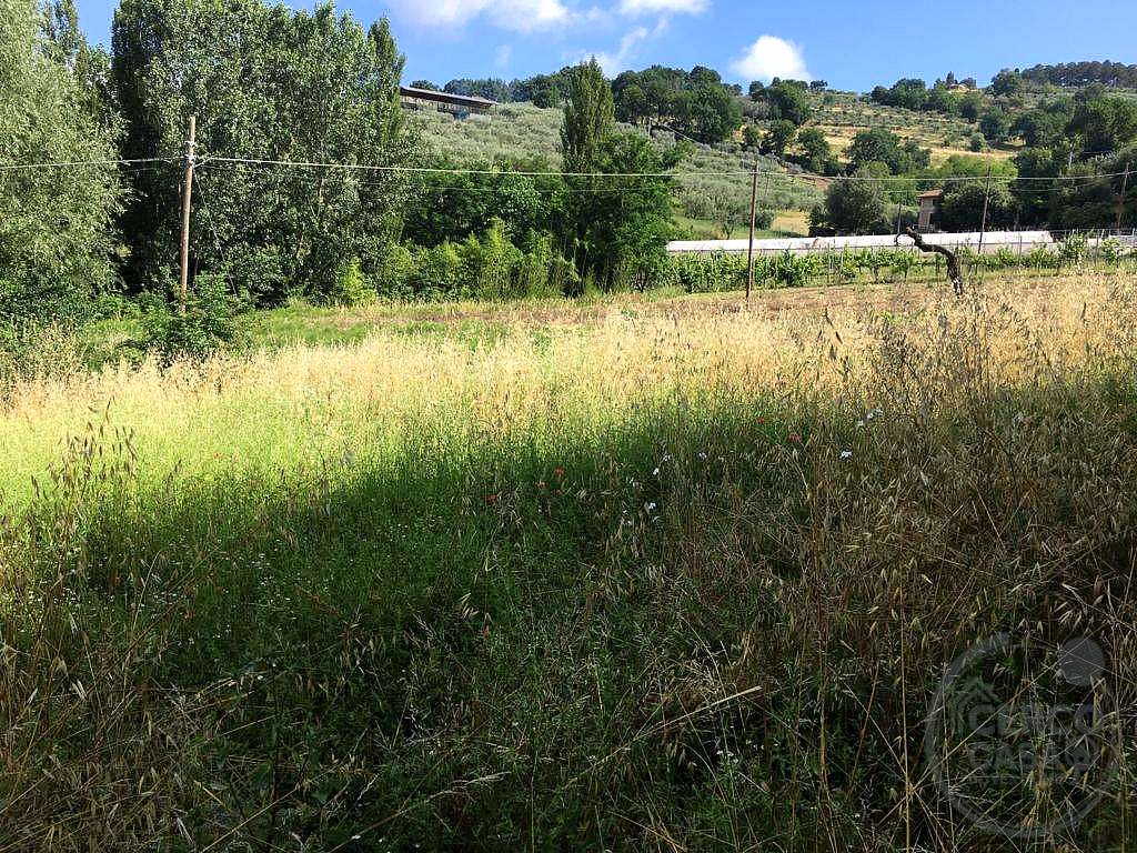 ASSISI - PALAZZO: TERRENO AGRICOLO SEMINATIVO