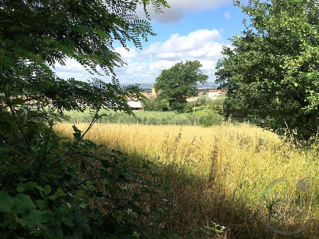ASSISI - PALAZZO: TERRENO AGRICOLO SEMINATIVO