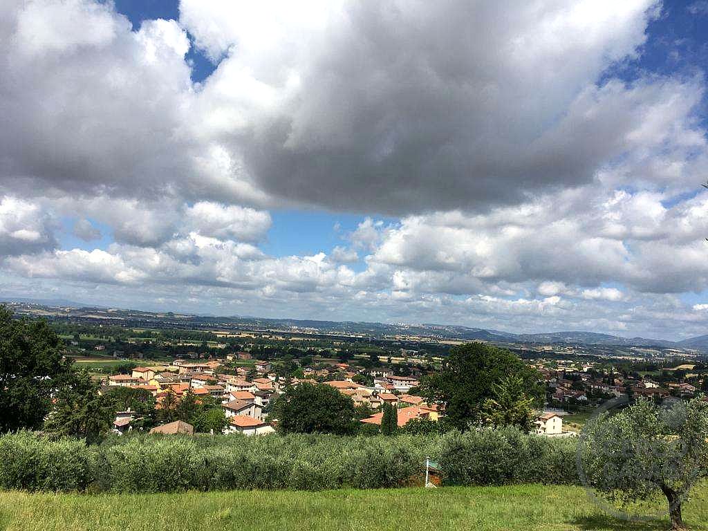 ASSISI - PALAZZO: TERRENO AGRICOLO ADIBITO AD OLIVETO