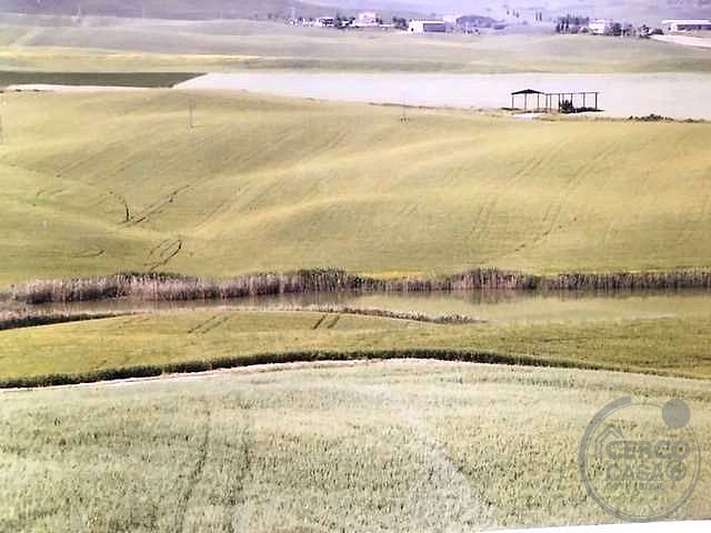 VAL D'ORCIA: PODERE DI PRESTIGIO CON ANNESSI E TERRENO