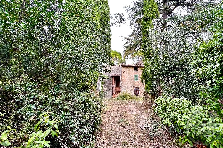 CASALE IN PIETRA CON OLIVETO, BOSCO E GIARDINO PRIVATO A POCHI PASSI DA CENTRO DI CETONA