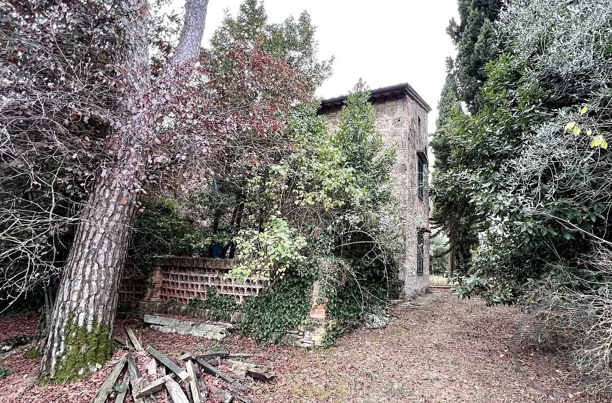 CASALE IN PIETRA CON OLIVETO, BOSCO E GIARDINO PRIVATO A POCHI PASSI DA CENTRO DI CETONA