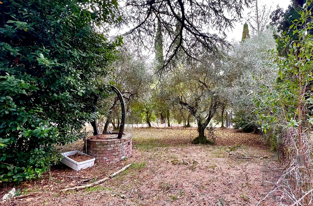 CASALE IN PIETRA CON OLIVETO, BOSCO E GIARDINO PRIVATO A POCHI PASSI DA CENTRO DI CETONA