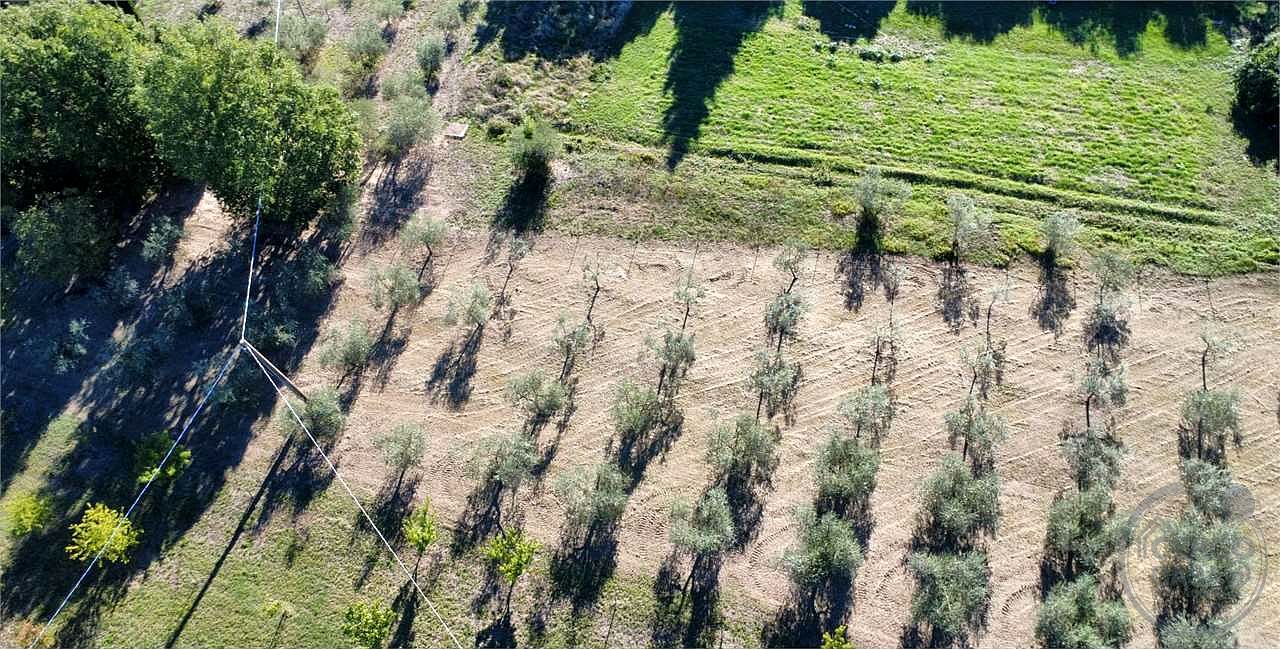 TODI - ROMAZZANO - TERRENO EDIFICABILE
