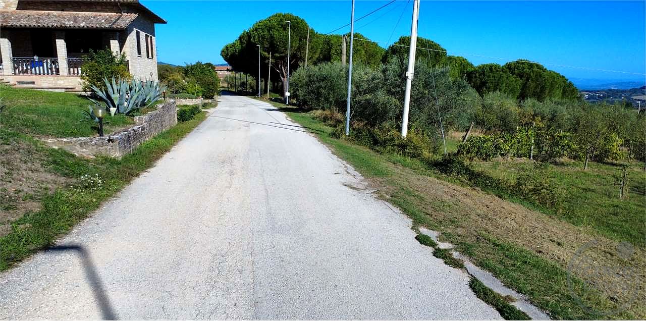 TODI - ROMAZZANO - TERRENO EDIFICABILE