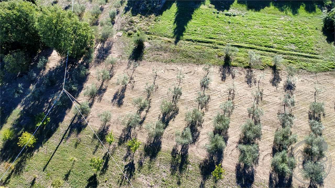 TODI - ROMAZZANO - TERRENO EDIFICABILE