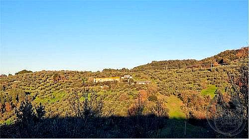 RUSTICO - CASALE VENDITA GUALDO CATTANEO · foto 40