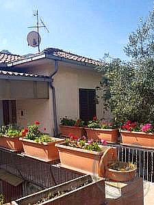 CASA INDIPENDENTE VENDITA SAN VENANZO · foto 24