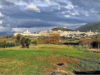 CAPANNONE VENDITA MAGIONE · foto 18
